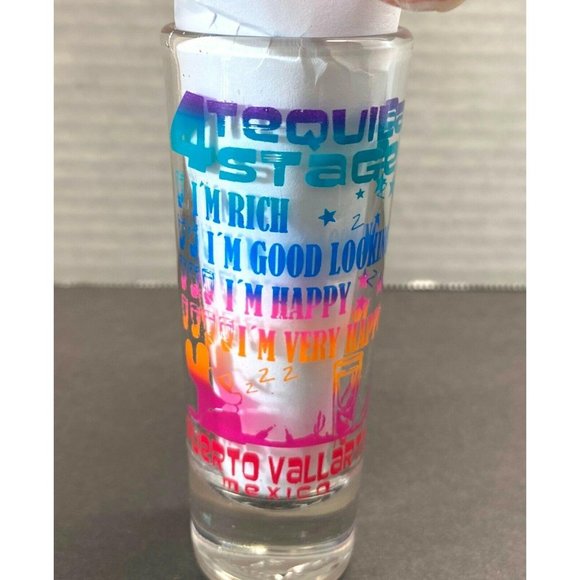 Puerto Vallarta Mexico Shot Glass 4 Stages of Tequila Drinking Tequilero - Picture 4 of 8